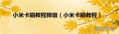 小米卡刷教程 小米卡刷教程降级