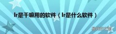 lr是什么软件 lr是干嘛用的软件