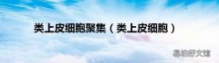 类上皮细胞 类上皮细胞聚集