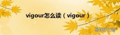 vigour vigour怎么读
