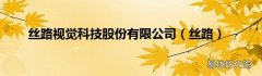 丝路 丝路视觉科技股份有限公司