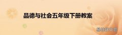 品德与社会五年级下册教案