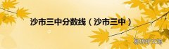 沙市三中 沙市三中分数线