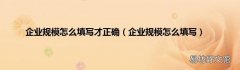 企业规模怎么填写 企业规模怎么填写才正确