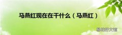 马燕红 马燕红现在在干什么