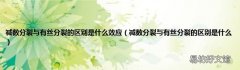减数分裂与有丝分裂的区别是什么 减数分裂与有丝分裂的区别是什么效应