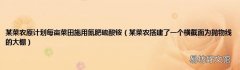 某菜农搭建了一个横截面为抛物线的大棚 某菜农原计划每亩菜田施用氮肥硫酸铵