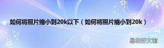 如何将照片缩小到20k 如何将照片缩小到20k以下