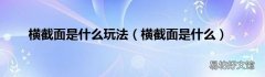 横截面是什么 横截面是什么玩法