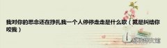 就是纠结你咬我 我对你的思念还在挣扎我一个人停停走走是什么歌