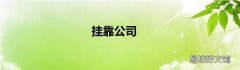挂靠公司