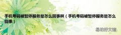 手机号码被暂停服务是怎么回事 手机号码被暂停服务是怎么回事啊