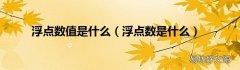 浮点数是什么 浮点数值是什么