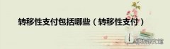 转移性支付 转移性支付包括哪些