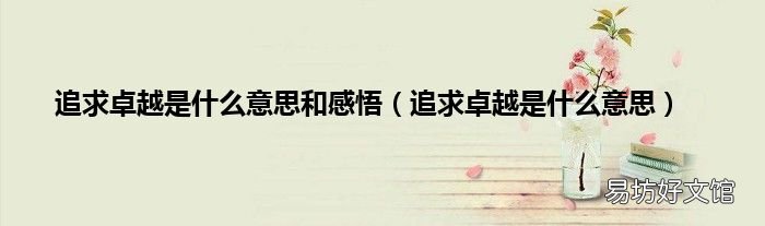 追求卓越是什么意思 追求卓越是什么意思和感悟