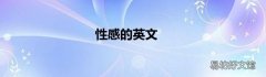 性感的英文