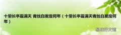 十里长亭霜满天青丝白发度何年 十里长亭霜满天 青丝白发度何年