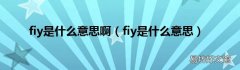 fiy是什么意思 fiy是什么意思啊
