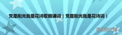 党是阳光我是花诗词 党是阳光我是花诗歌朗诵词