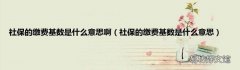 社保的缴费基数是什么意思 社保的缴费基数是什么意思啊