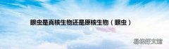 眼虫 眼虫是真核生物还是原核生物