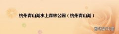 杭州青山湖 杭州青山湖水上森林公园