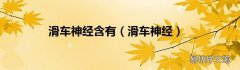 滑车神经 滑车神经含有