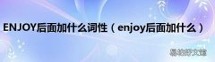 enjoy后面加什么 ENJOY后面加什么词性