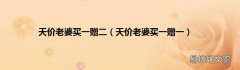天价老婆买一赠一 天价老婆买一赠二