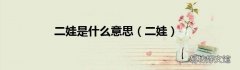 二娃 二娃是什么意思