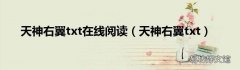 天神右翼txt 天神右翼txt在线阅读