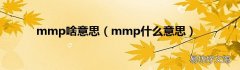 mmp什么意思 mmp啥意思