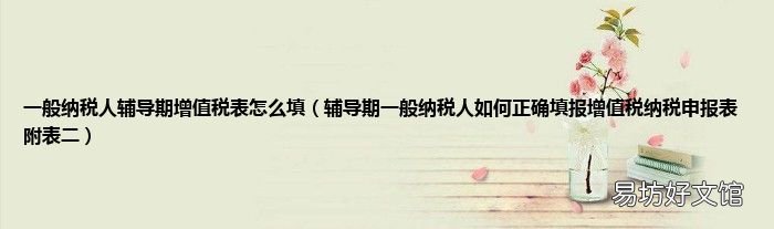 辅导期一般纳税人如何正确填报增值税纳税申报表附表二 一般纳税人辅导期增值税表怎么填