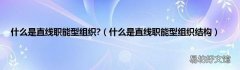 什么是直线职能型组织结构 什么是直线职能型组织?