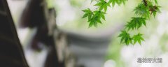 春分是立春吗 春分象征着什么