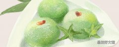 青团能用纯糯米做吗 清明团子用什么粉