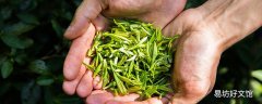 清明茶和谷雨茶哪个好 明前茶指的是什么茶
