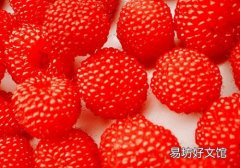 宝宝可以吃野草莓吗 宝宝吃野草莓有哪些好处