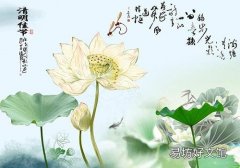 清明和清明节的区别