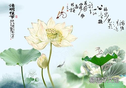 清明和清明节的区别