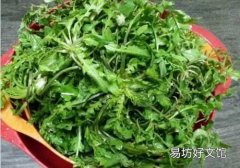 乳腺癌能不能吃荠菜 吃荠菜有什么好处