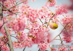 春分是什么意思啊 春分时是昼长夜短还是昼短夜长