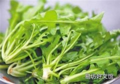 荠菜放冰箱可以吗 怎么放冷藏室？怎么放冷冻室？