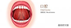地图舌是什么病严重吗 地图舌缺什么微量元素