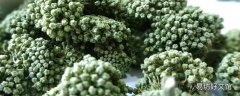 三七花泡水第二天还能喝吗 三七花泡水放多少合适