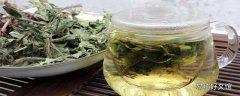 蒲公英茶可以长期饮用吗 蒲公英茶多喝会中毒吗