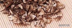 蒲公英茶长虫了还能喝吗 蒲公英茶有黑渣渣正常吗