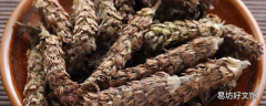 夏枯草和蒲公英可以一起泡水喝吗 夏枯草和蒲公英哪个散结好