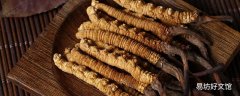 冬虫夏草哪三类人不能喝 冬虫夏草适宜什么人群吃