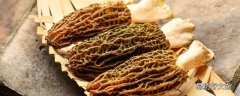 羊肚菌泡发多少时间 干羊肚菌能泡12小时吗